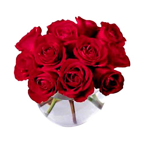 1 dozen red roses in a glass vase......  to San Carlos_philippine.asp