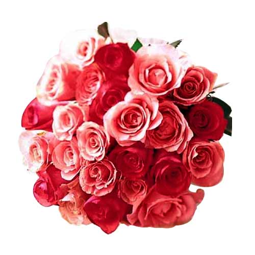 2 dozen red & pink roses mix......  to flowers_delivery_valencia_philippine.asp