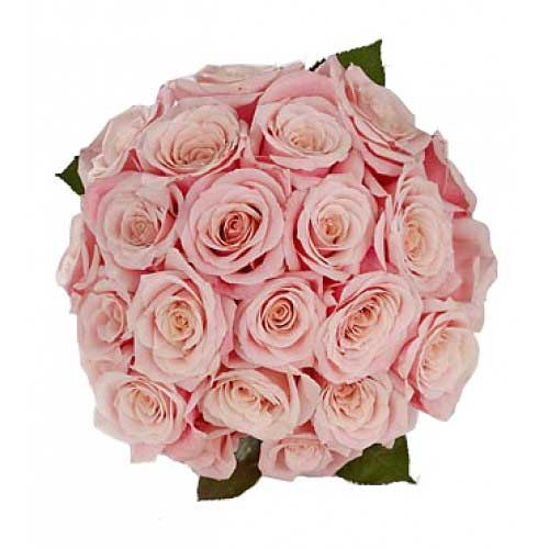 2 dozen pink roses in bouquet......  to bago