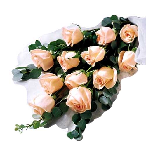 1 dozen peach roses in bouquet......  to ormoc_philippine.asp
