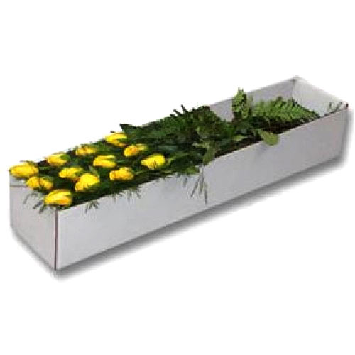 1 dozen yellow roses in a box......  to san fernando