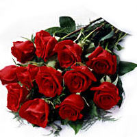 A traditional presentation for roses, this dozen s......  to San Jose