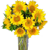 10pcs Sunflower in a Vase......  to marawi