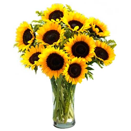 One Dozen Sunflower in a Vase......  to Panabo_philippine.asp