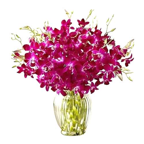 One Dozen Purple Orchids in a Vase......  to laoag