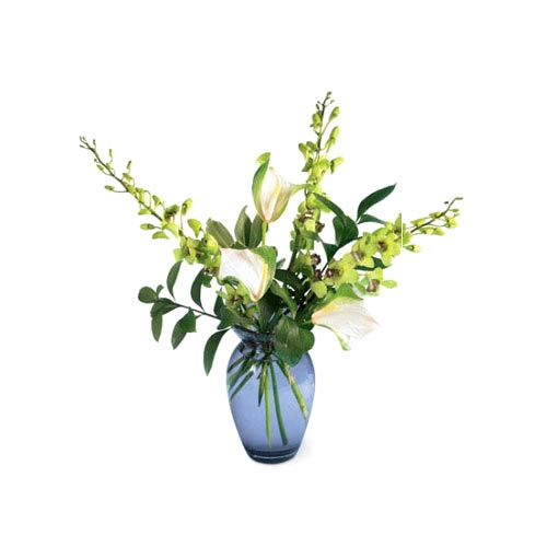3pcs Dendrobium Orchids w/ Anthuriums in a Vase......  to Bais