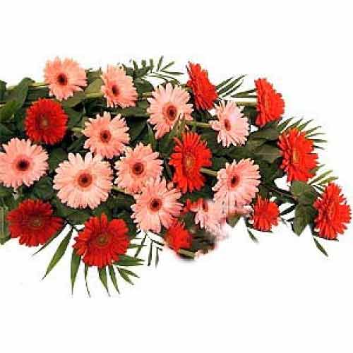 Pretty wrapped bouquet of 12 stems of pink and red......  to pagadian_philippine.asp