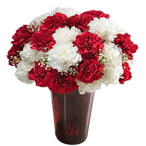 2 Dozen Mixed White & Red Carnations  in a Vase.......  to escalante_philippine.asp