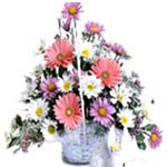 12 pieces of white and pink......  to angeles_florists.asp