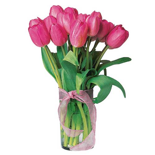 10 pieces of Tulip......  to San Carlos_philippine.asp