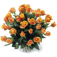 Looking for something really special? Send this exclusive bouquet of roses!<br>W...