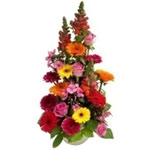 Gorgeous Rainbow Arrangement of Mixed Flower