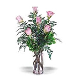 Half Dozen Pink Roses (Basic)
...