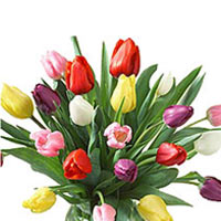 Elegant bouquet of multi-colored tulips is perfect......  to almetievs_florists.asp