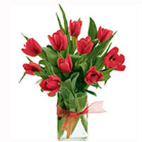Elegant bouquet of red tulips is perfect for any o......  to petrozavodsk_florists.asp