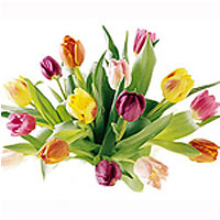Arrangement of most beautiful flowers of the seaso......  to flowers_delivery_dagomys_russia.asp
