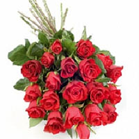 Simple, passionate, beautiful, but with spikes - t......  to flowers_delivery_vorkuta_russia.asp