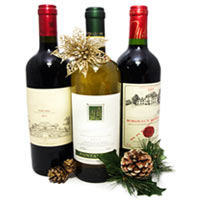 A classic Gift, this Outstanding Wine Toast for Al......  to baksan_florists.asp