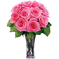 one dozen pink roses