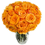 Order this online gift of Brilliant Bouquet for Ne......  to Vereenigning_southafrica.asp