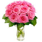 Wrapped up with your love, this Blooming 12 Pink R......  to port elizabeth_florists.asp