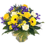 Joyful Bold Aqua Pack Flower Bouquet