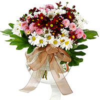 Brighten up their day with the freshest daisies, a......  to Jeju_southkorea.asp