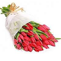 Vibrant fresh cut tulips will make a cheery showin......  to sokacho