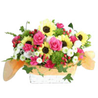 A classic gift, this Everlasting Sunshine Flowerin......  to mokpo