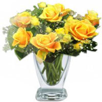 Greet your dear ones with this Perfect Yellow and ......  to gimhae_southkorea.asp