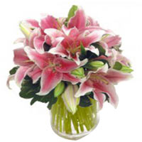 Be happy by sending this Passionate Bouquet of Sta......  to South Jeolla_southkorea.asp