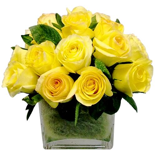 Order this Lovely Make Her Day 20 Roses Bouquet fo......  to Pontevedra_spain.asp