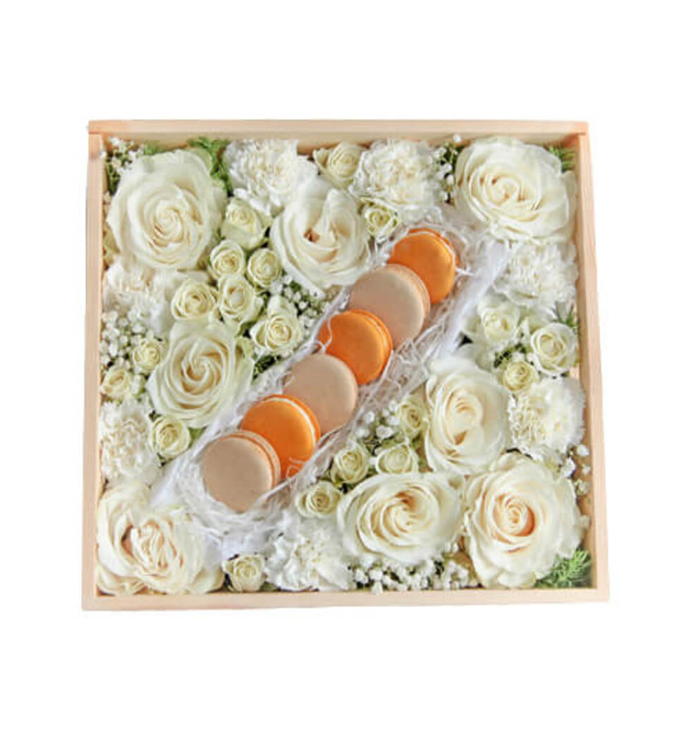 Blooming Macaron Bundle