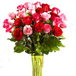 A luxurious combination of perfect, red and pink roses and lush green foliage.<b...