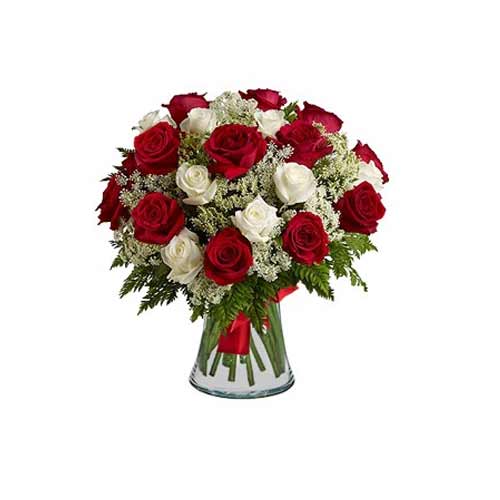 Duo of Red and White Roses