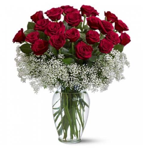 Make someone feel extra special with this sumptuou......  to qutuf_florists.asp