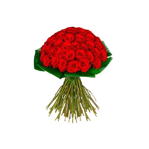Convey your deepest love and innermost passion wit......  to flowers_delivery_diba al hesn_uae.asp