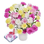 A classic gift, this Splendid Spray Carnation Bouq......  to Fort William_uk.asp