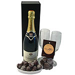 Palmer Champagne and Belgian Chocolates Hamper<br>......  to tongue_florists.asp