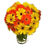 Bright N Vibrant New Year Arrangement Of Gerberas