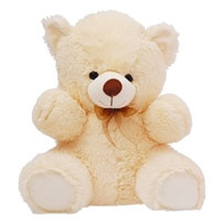 Lovely Big Teddy Bear Toy