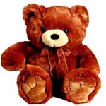 Teddy bear