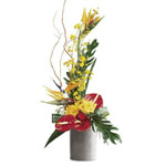 Tropical Treasures Arrangement